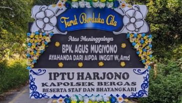 bunga