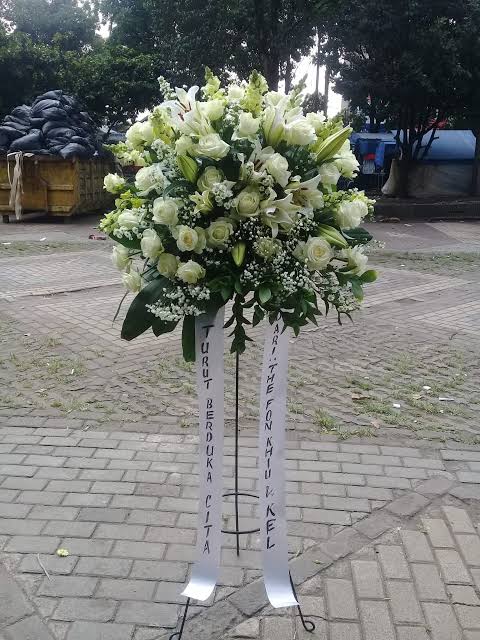 images 10